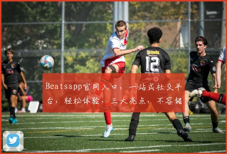 Beatsapp官网入口，一站式社交平台，轻松体验，三大亮点，不容错过，立即访问