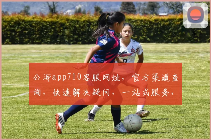 公海app710客服网址，官方渠道查询，快速解决疑问，一站式服务，三步直达