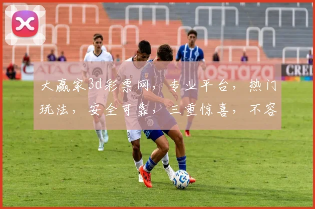 大赢家3d彩票网，专业平台，热门玩法，安全可靠，三重惊喜，不容错过，立即体验