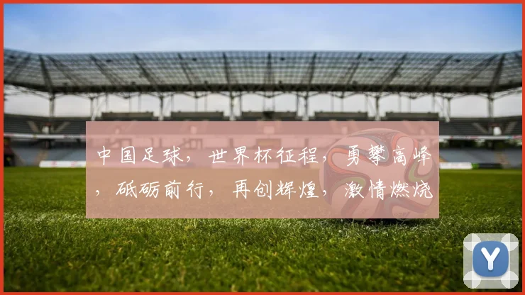 中国足球，世界杯征程，勇攀高峰，砥砺前行，再创辉煌，激情燃烧