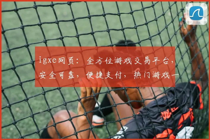 igxe网页：全方位游戏交易平台，安全可靠，便捷支付，热门游戏一站式购销，体验非凡
